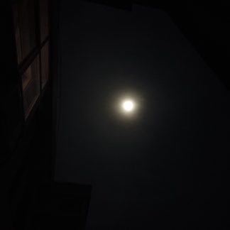 实验